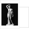 Amazon Statue In Vatican Museum by Anonymous