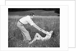 Young Couple Frolicking in Grass by Anonymous