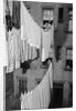 Laundry Drying on Lines by Anonymous