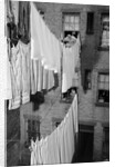Laundry Drying on Lines by Anonymous