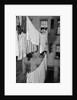 Laundry Drying on Lines by Anonymous