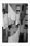 Laundry Drying on Lines by Anonymous