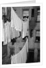 Laundry Drying on Lines by Anonymous