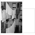 Laundry Drying on Lines by Anonymous
