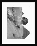 Great Sphinx and Pyramids at Giza by Anonymous