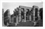 Exterior View of Peristyle Court in the Temple of Luxor by Anonymous