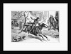 Illus. Of Paul Revere On Horseback by Anonymous