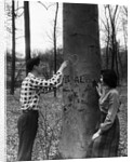 Teenagers Carving Initials on a Tree by Anonymous