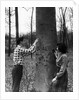 Teenagers Carving Initials on a Tree by Anonymous