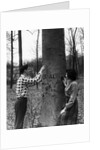 Teenagers Carving Initials on a Tree by Anonymous