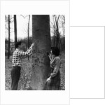Teenagers Carving Initials on a Tree by Anonymous