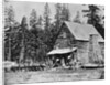 Log Cabin In Woods Used As Hotel by Anonymous