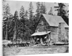 Log Cabin In Woods Used As Hotel by Anonymous