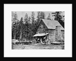 Log Cabin In Woods Used As Hotel by Anonymous