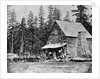 Log Cabin In Woods Used As Hotel by Anonymous