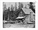 Log Cabin In Woods Used As Hotel by Anonymous