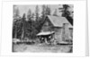Log Cabin In Woods Used As Hotel by Anonymous