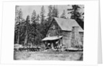 Log Cabin In Woods Used As Hotel by Anonymous