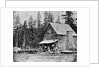 Log Cabin In Woods Used As Hotel by Anonymous