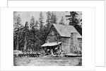 Log Cabin In Woods Used As Hotel by Anonymous