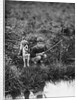 Boy with Dog Fishing by Anonymous