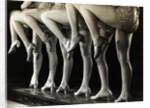 Chorus Girls' Legs by Anonymous