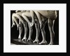 Chorus Girls' Legs by Anonymous