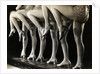 Chorus Girls' Legs by Anonymous