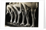 Chorus Girls' Legs by Anonymous