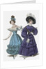 French Evening Costume & Walking Dress by Anonymous