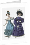 French Evening Costume & Walking Dress by Anonymous