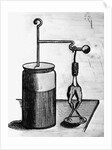 Frog Legs Connected To Electrical Feed by Anonymous