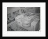 Completion of Cyclotron by Anonymous