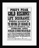 Life Insurance For Gold Prospecters by Anonymous