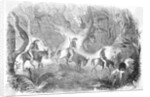 Californians Crossing The Panama by Anonymous