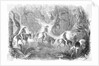 Californians Crossing The Panama by Anonymous
