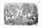 Californians Crossing The Panama by Anonymous