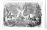 Californians Crossing The Panama by Anonymous