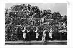 Workers Inspecting Garbage On Barge by Anonymous