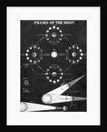Illustration Of "Phases Of The Moon" by Anonymous