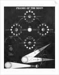 Illustration Of "Phases Of The Moon" by Anonymous