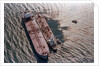 Tanker Pumping Oil From Exxon Valdez by Anonymous