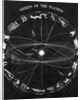 Illus.;Orbit Of The Planets,Constellatio by Anonymous