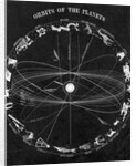 Illus.;Orbit Of The Planets,Constellatio by Anonymous