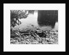 Passaic River W/Debris On Its Bank;Pollu by Anonymous