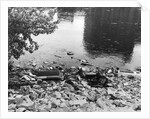 Passaic River W/Debris On Its Bank;Pollu by Anonymous