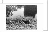 Passaic River W/Debris On Its Bank;Pollu by Anonymous