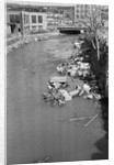 Stream Polluted with Automotive and Household Waste by Anonymous