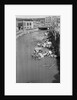 Stream Polluted with Automotive and Household Waste by Anonymous