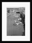 Stream Polluted with Automotive and Household Waste by Anonymous